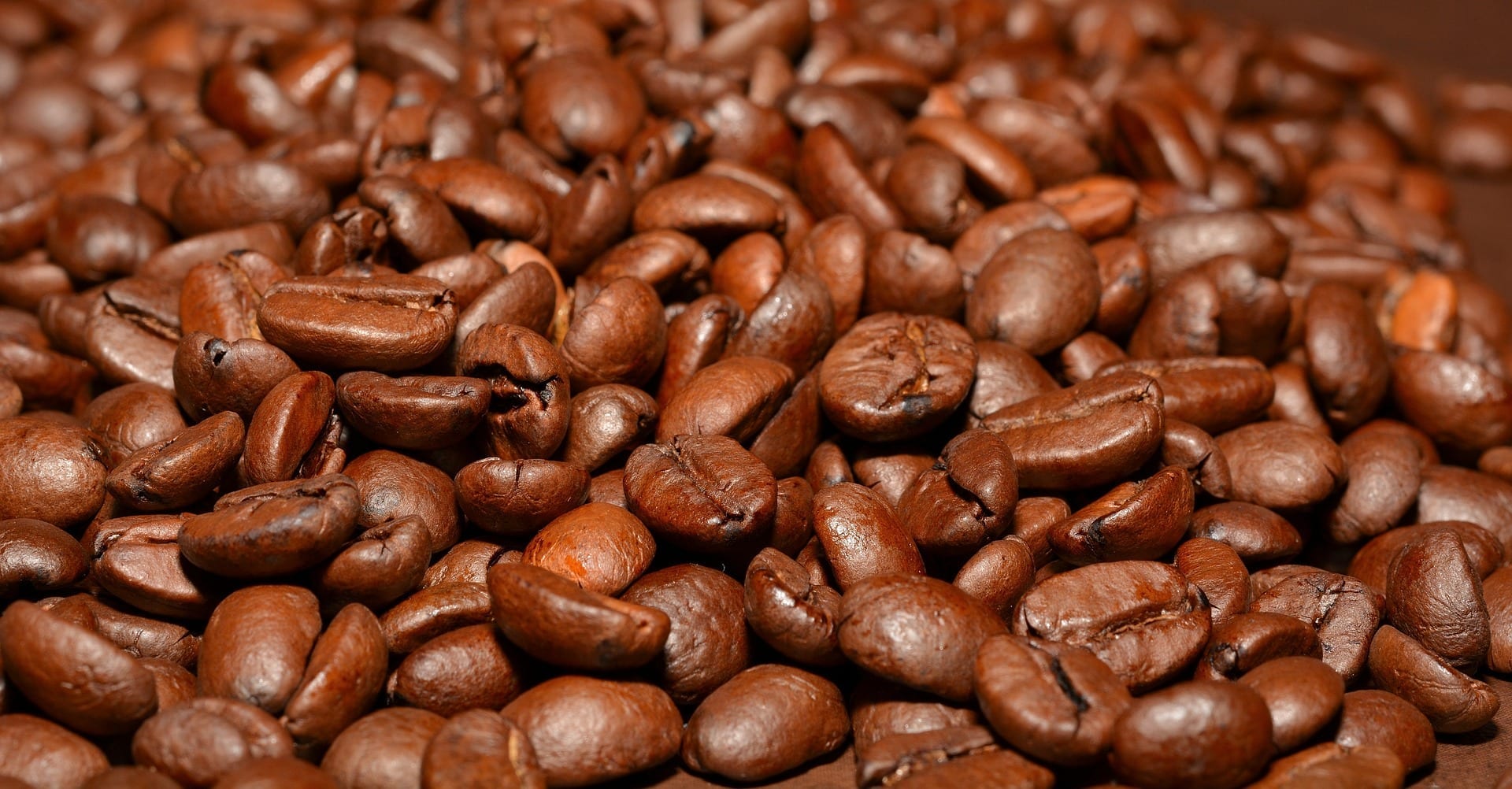 Variedades de café