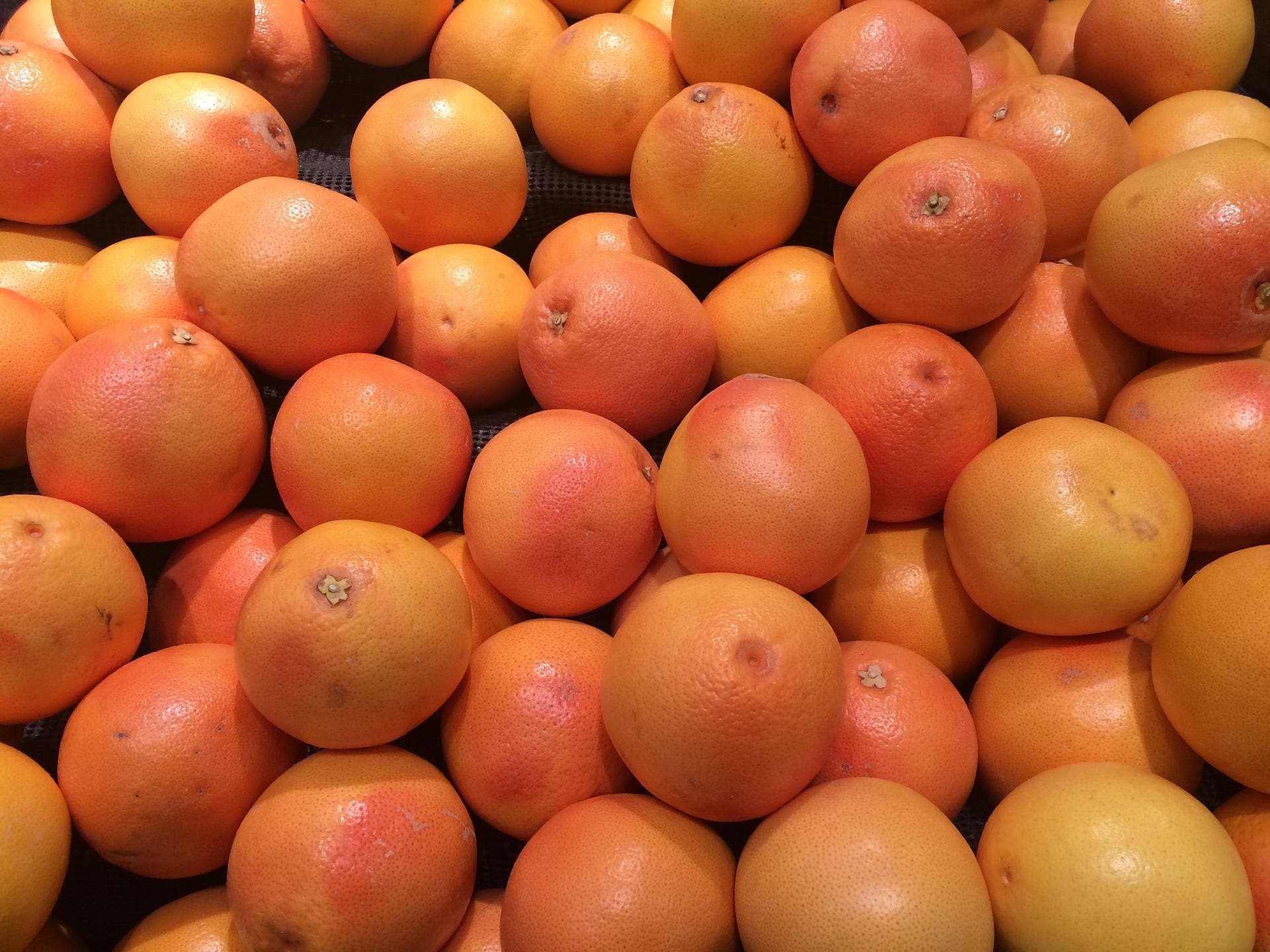 naranjas de Sudáfrica