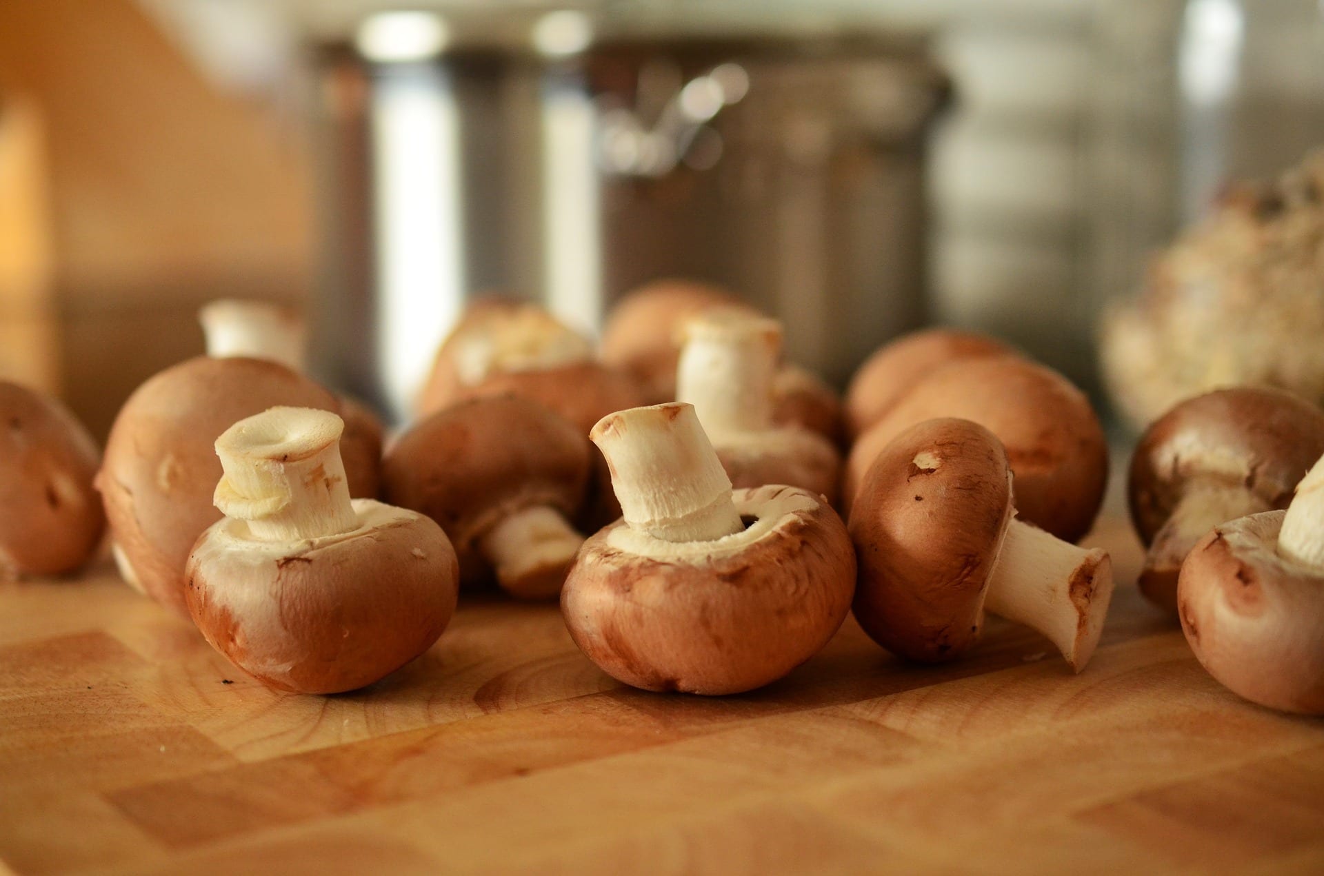 mushrooms champignons