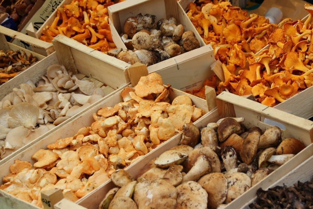 gastronomische Informationen zu Pilzen