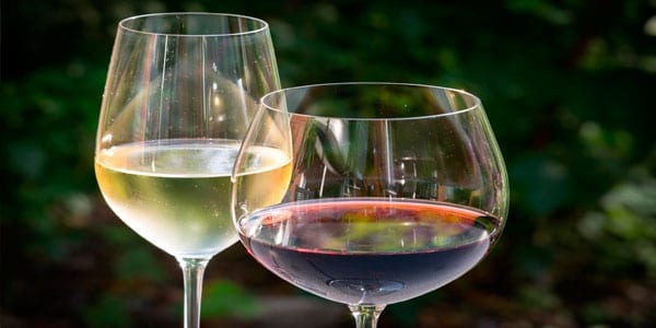 concursos de vinos vino canario