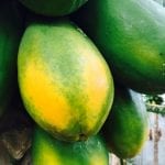 papaya1