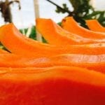 papayaweb