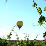Foto1_DORiberadelGuadiana_DiaEnoturismo_08112017