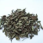 HIERBABUENA SECA
