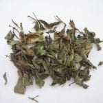 MENTA SECA