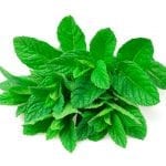 menta fresca