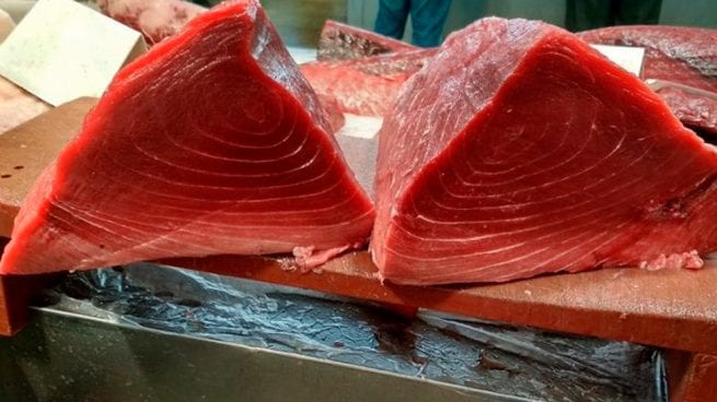 Roter Thunfisch Betrug Cadiz