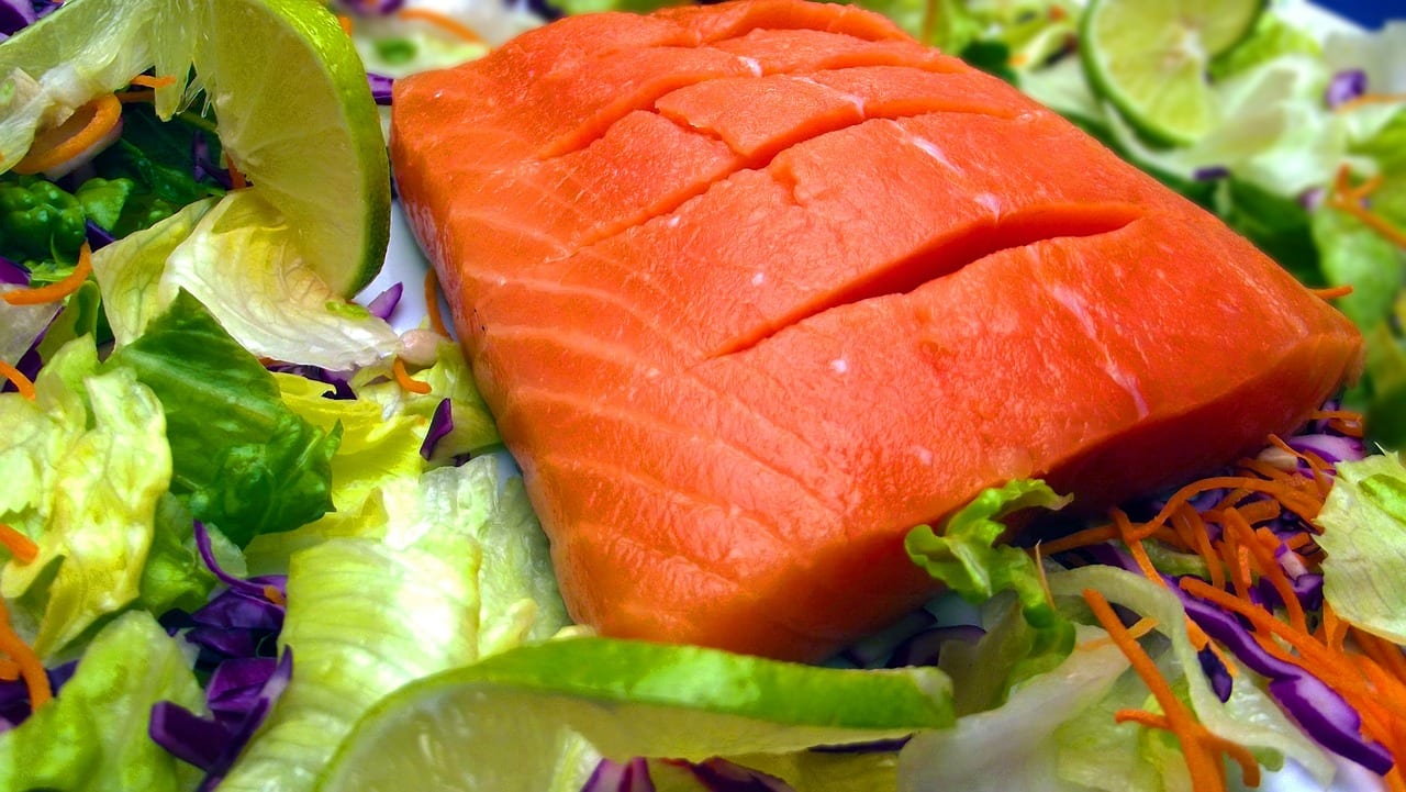 las propiedades y beneficios del salmón