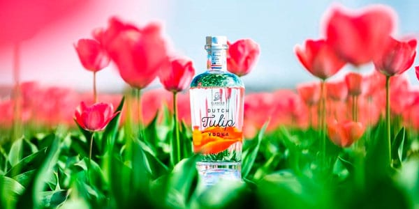 dutch tulip vodka