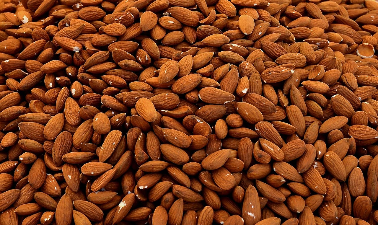 forecast of the almond campaign