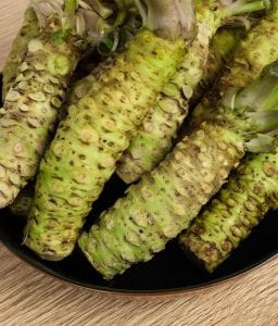 el wasabi del Montseny