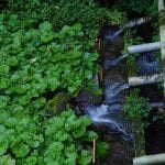 natural-3741399_1280