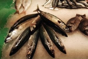 pescados