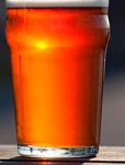 cervezaale2web
