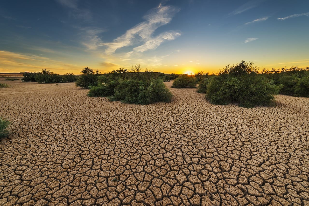 la sequía amenaza suelo árido