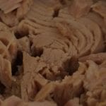 tuna-439755_1280