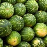 watermelon-2636_1280