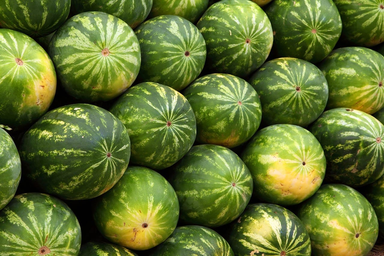Prognosen für Melonen und Wassermelonen