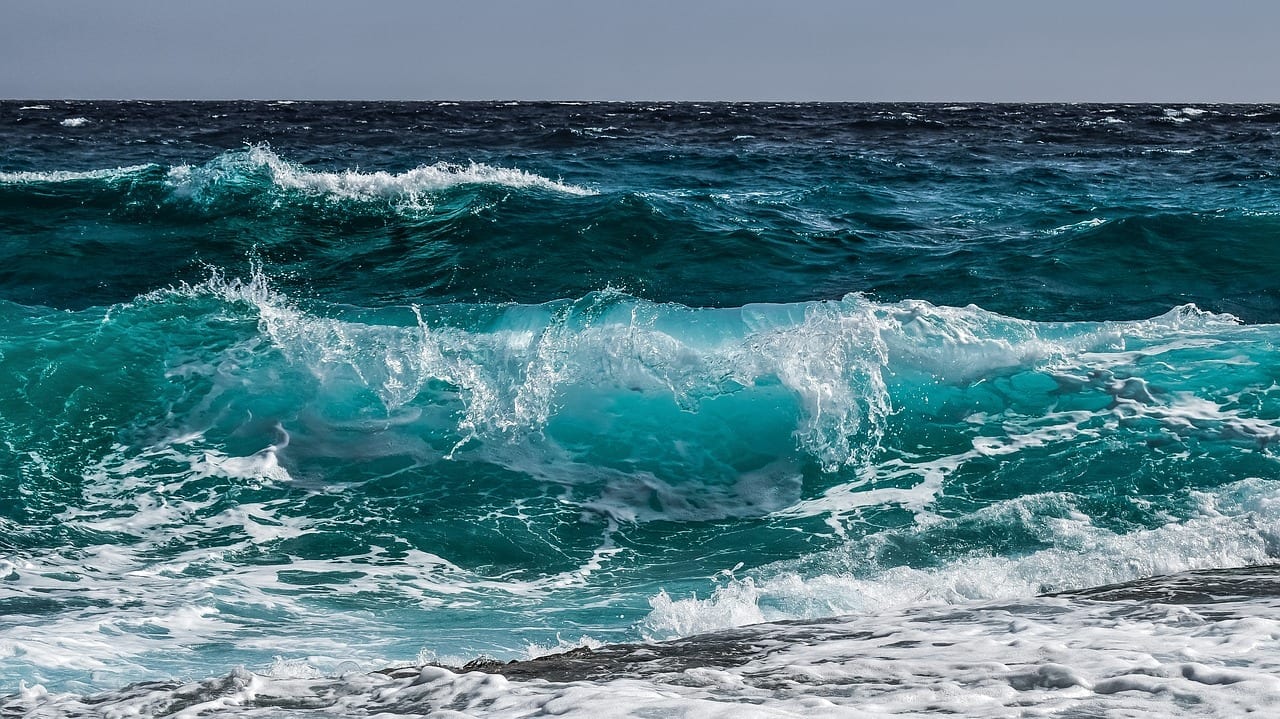 NEA y un agua sostenible océano