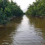 18092019150242_bancales inundados