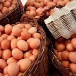 huevos2web