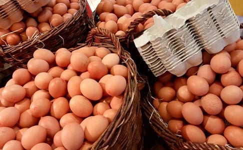 acquisto di uova