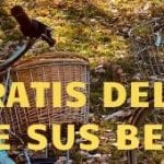 Hazte socio del Club Catatur y disfruta de sus beneficios 6