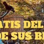 Hazte socio del Club Catatur y disfruta de sus beneficios5