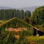 torresbodega
