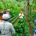 finca filadelfia