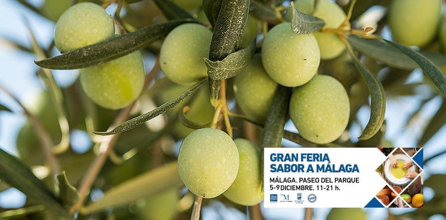 great fair taste of Malaga olives