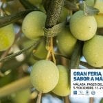 gran feria sabor a málaga