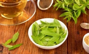 infusiones para exámenes hierba luisa té
