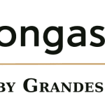 logo-header-left-1