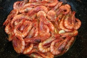 chupar cabezas de las gambas