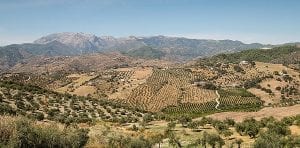 Valle del Guadalhorce Málaga