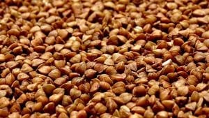 trigo sarraceno para celiacos cereales
