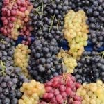 grapes-4638481_960_720