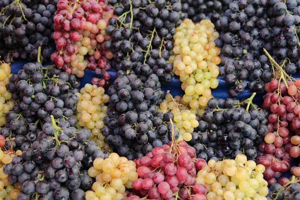 nuevo envasado para el vino uva racimos