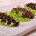 sea-cucumber-2602720_1280