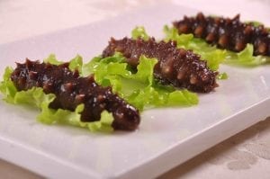 pepinos de mar comestibles