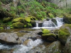 cascada valle de laciana