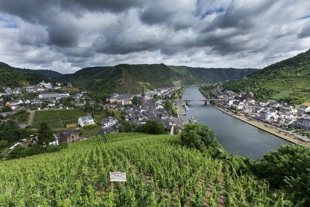 Paysage de vignoble de la Moselle