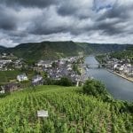 vineyards-3555290_1280