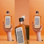 foto portada gin ser del sur