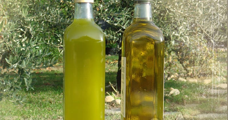 huile de jaén meilleures huiles d'Espagne