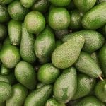 avocado-2351191_1280