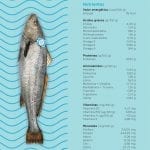 corvina