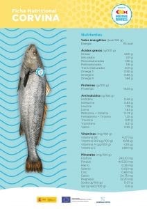 corvina